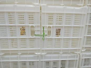 今麥郎、丹尼斯塑料筐